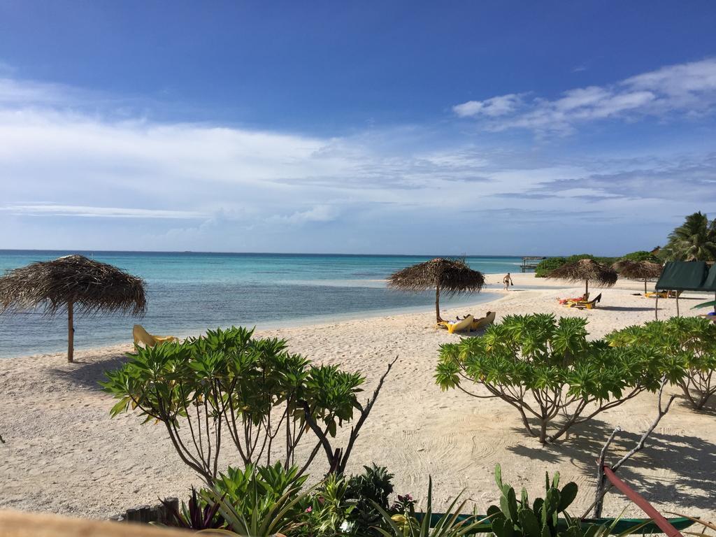 Hakamanu Lodge Tikehau Eksteriør billede