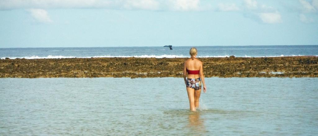 Hakamanu Lodge Tikehau Eksteriør billede