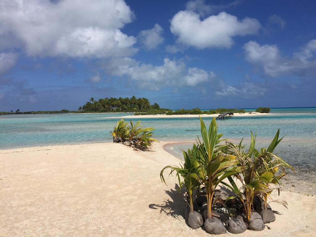 Hakamanu Lodge Tikehau Eksteriør billede